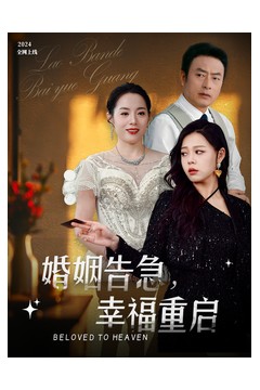 婚姻告急幸福重启