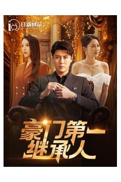 豪门第一继承人