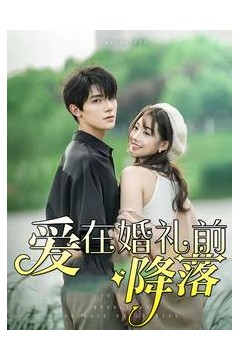 爱在婚礼前降落