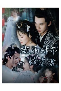 微雨时节恰逢君