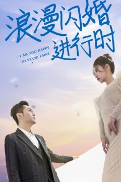 浪漫闪婚进行时