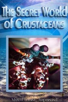 甲壳动物的秘密世界