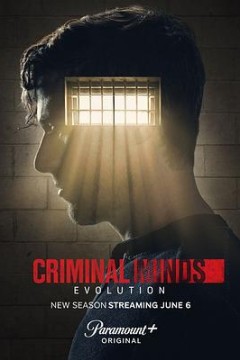 犯罪心理：演变第十七季