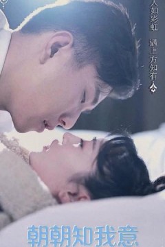 朝朝知我意