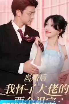 离婚后，我怀了大佬的两个祖宗