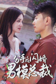 分手后闪婚男模总裁