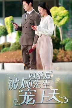 闪婚后，被顾先生宠上天