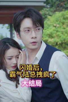 闪婚后，霸气陆总拽疯了