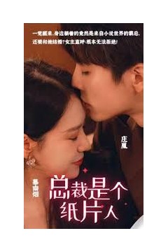总裁是个纸片人