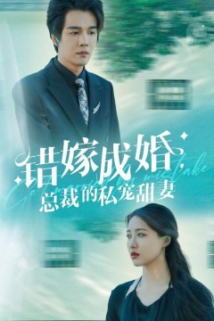 错嫁成婚总裁的私宠甜妻