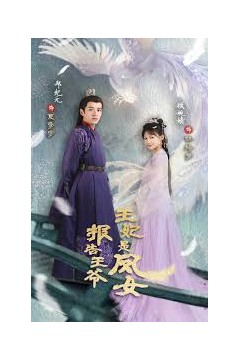 报告王爷王妃是凤女