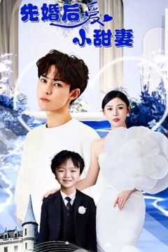 先婚后爱小甜妻