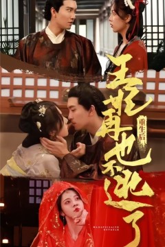 重生后王妃再也不逃了