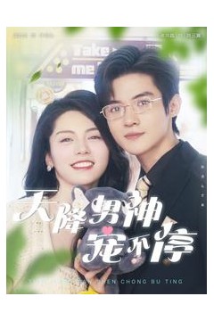 天降男神宠不停