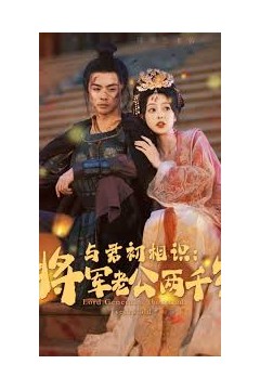 与君初相识将军老公两千岁