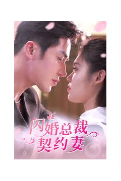 闪婚总裁契约妻