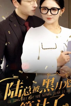 陆总被黑月光算计了