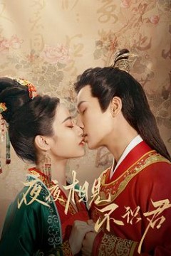 夜夜相见不识君