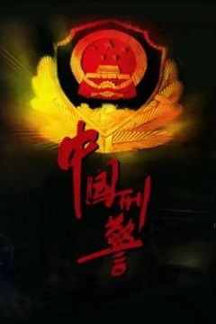 中国刑警2001