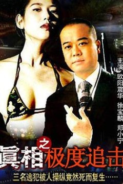 真相之极度追击