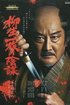 柳生一族的阴谋