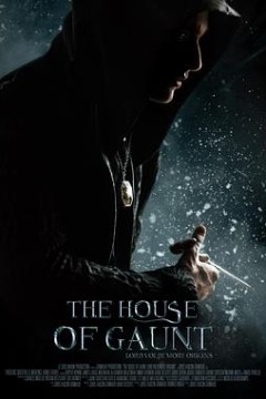 冈特家族：伏地魔起源