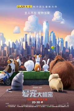 爱宠大机密