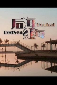 后海·红海