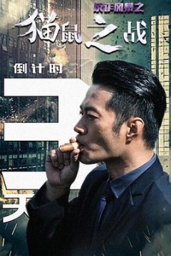 反诈风暴之猫鼠之战