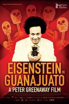 爱森斯坦在瓜纳华托