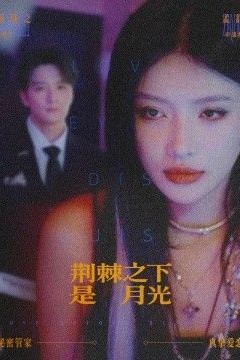 荆棘之下是月光，鸳鸯相抱何时了