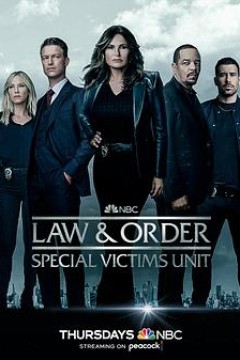 法律与秩序：特殊受害者第二十四季