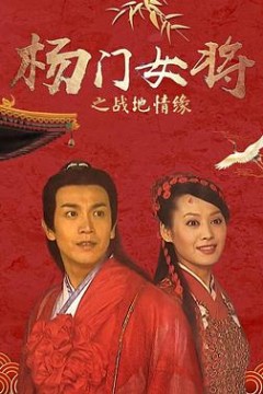 杨门女将之战地情缘