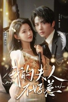 我的夫人不好惹，你好，我的旅长夫人