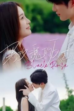 黑玫瑰的反击