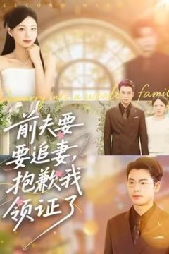 前夫要追妻，抱歉我领证了