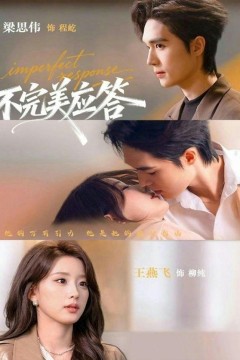 不完美应答(别对我动心)