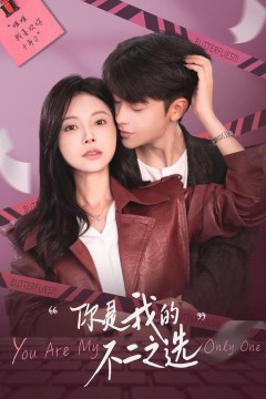 你是我的不二之选