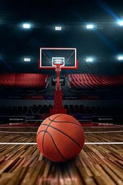 1月28日25-26赛季NBA常规赛 鹈鹕VS雷霆