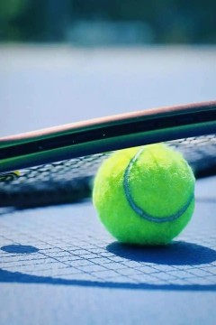 WTA阿布扎比站第六日：贝莱克VS陶森