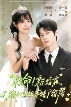 救命！新婚夜，我和姐姐走错了婚房