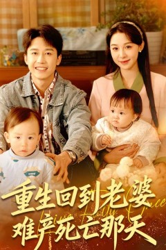 重生回到老婆难产死亡那天