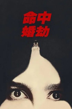 命中婚劫