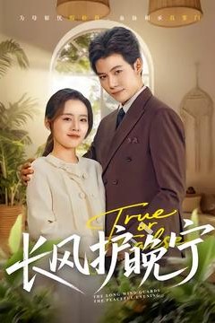 长风护晚宁