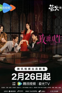 玫瑰丛生