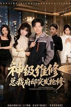 神级维修，总裁府邸突发抢修