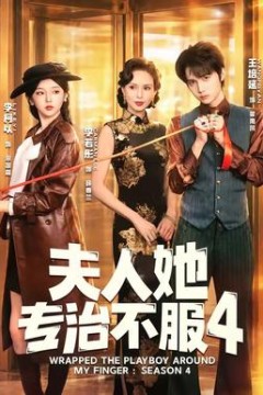 夫人她专治不服4