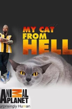 家有恶猫第七季