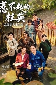 惹不起的桂英之张老太重生记