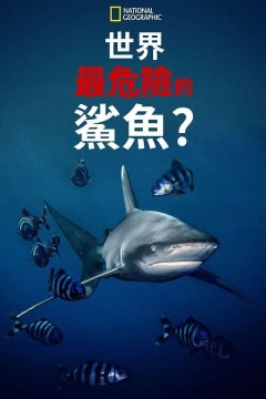 世上最危险的鲨鱼